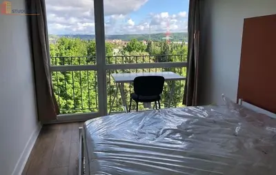 Studio à Palaiseau