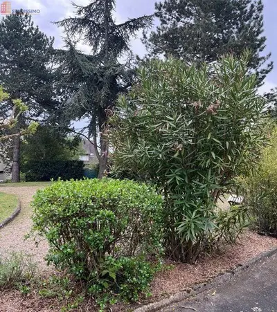 Studio à Sceaux