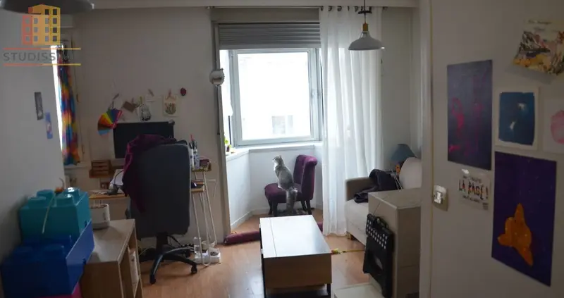 Studio 30m² Lyon 7e Gerland - Étage élevé, lumineux - Photo 1