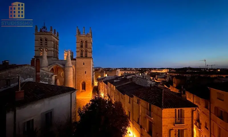 Studio 25m² Montpellier Écusson - Loggia, terrasse privée - Photo 3