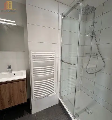 Studio 42m² Grenoble centre - Dernier étage, lumineux - Photo 2