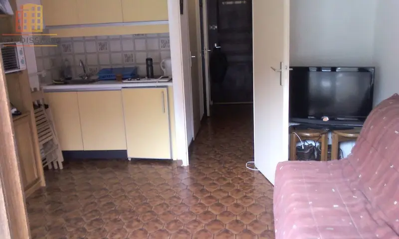 Studio 20m² Châtel 74390 - Photo 1