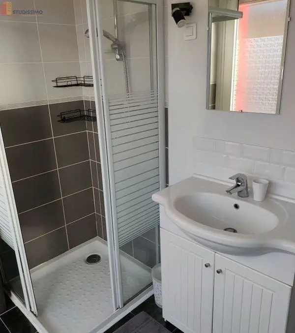Studio meublé 28m² Bourg-en-Bresse - Meublé, DPE C - Photo 2