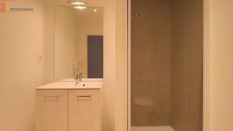 Studio meublé 25m² Troyes - Meublé, DPE C - Photo 4