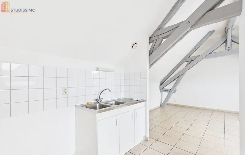 Studio 44m² Saint-Mards-en-Othe - Étage élevé - Photo 6