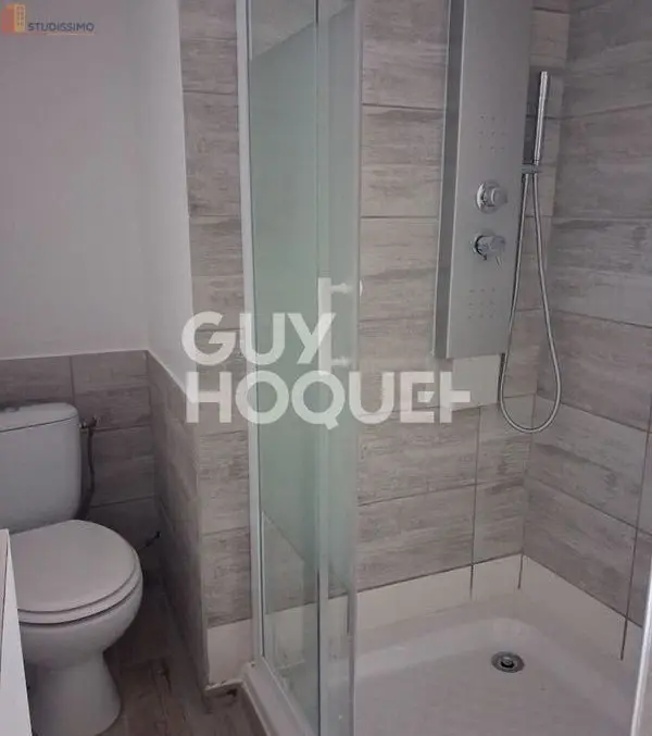 Studio 24m² Pont-sur-Seine - lumineux - Photo 3