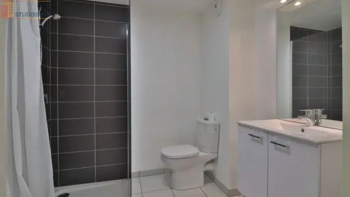 Studio meublé 22m² Troyes - Meublé, DPE C - Photo 3