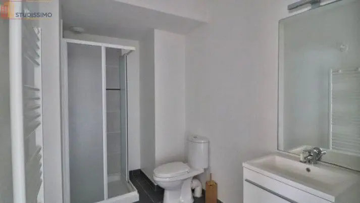 Studio meublé 20m² Saint-Pouange - Meublé, DPE D - Photo 6
