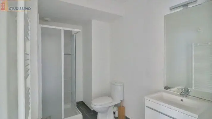 Studio meublé 20m² Saint-Pouange - Meublé, DPE D - Photo 4