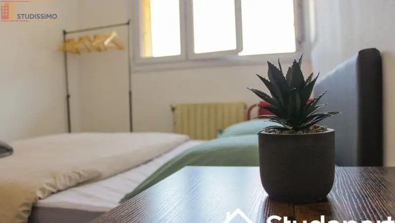 Studio meublé 10m² Marseille 3e - Calme, lumineux - Photo 3