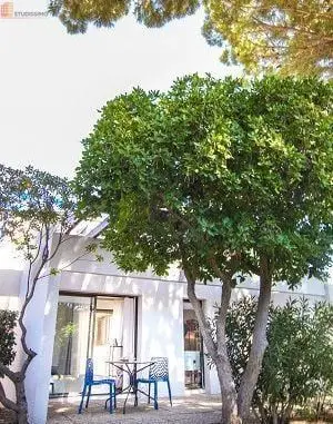 Studio meublé 30m² Narbonne - Meublé, DPE D - Photo 3