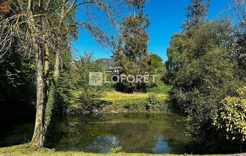 Studio 27m² Falaise - Étage élevé, lumineux - Photo 4