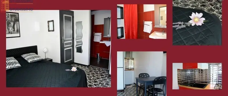 Studio meublé 25m² Saint-Pierre-d'Oléron - Meublé, disponible saisonnièrement - Photo 4