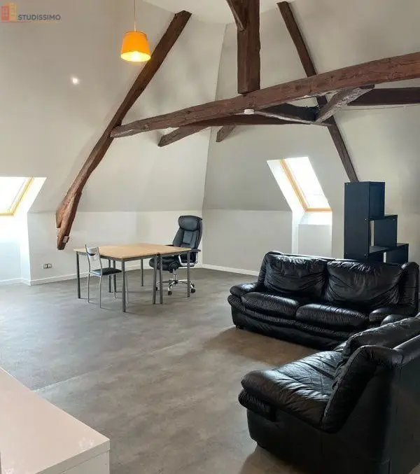 Studio 60m² Vierzon centre - Meublé, grand séjour - Photo 5
