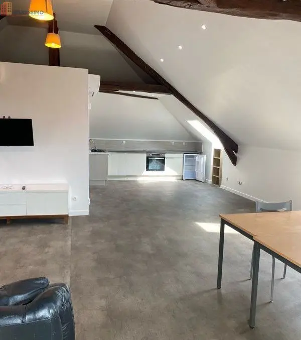 Studio 60m² Vierzon centre - Meublé, grand séjour - Photo 2