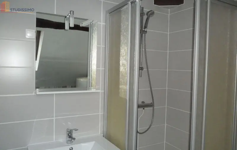 Studio 30m² Mehun-sur-Yèvre - 2e étage, lumineux - Photo 3