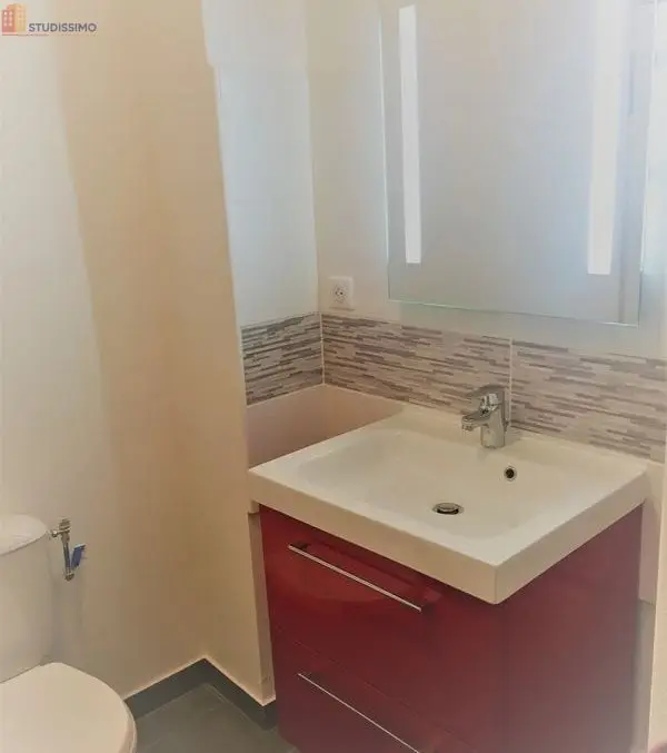 Studio 22m² Brive-la-Gaillarde centre - lumineux - Photo 4