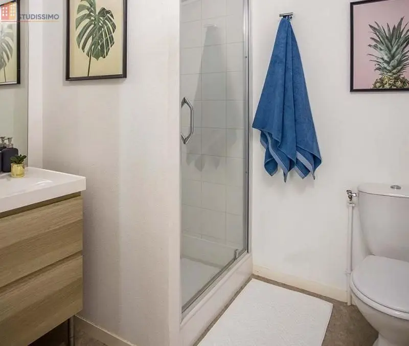 Studio meublé 19m² Dijon centre - Cosy, lumineux - Photo 13