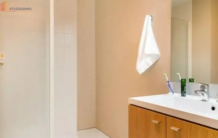 Studio meublé 25m² Dijon 21000 - Meublé, 1 pièce - Photo 3