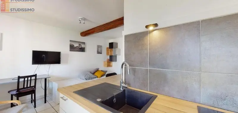 Studio 22m² Dijon centre - Meublé, lumineux - Photo 10
