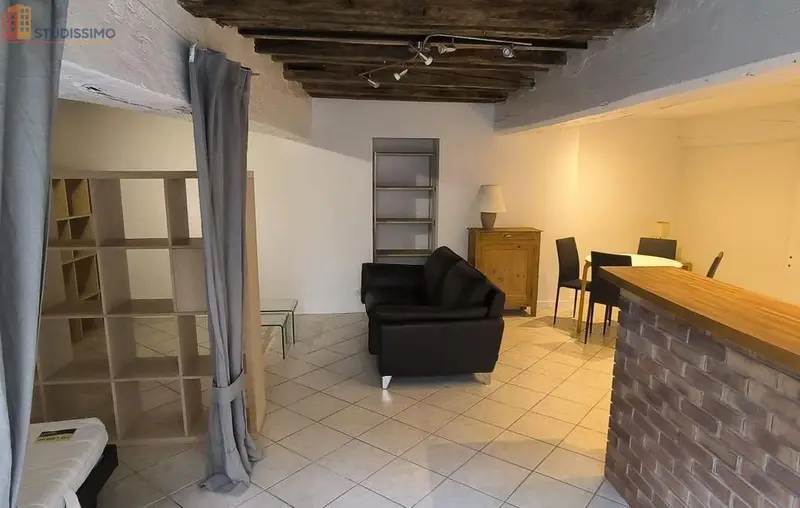 Studio 47m² Dijon centre - Meublé, Parc Wilson - Photo 4