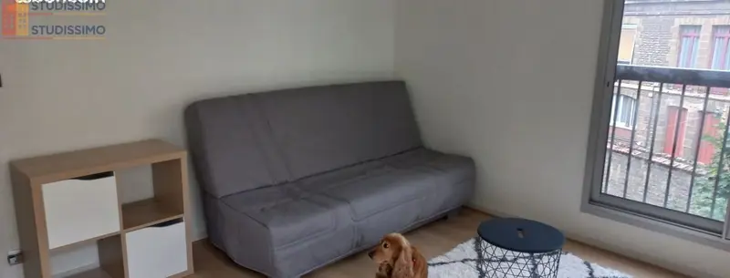 Studio meublé 31m² Dijon centre - Lumineux, 3e étage - Photo 1