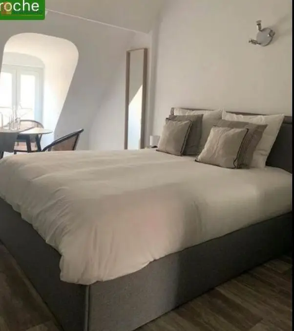 Studio meublé 30m² Dijon centre - Étage élevé, lumineux - Photo 4