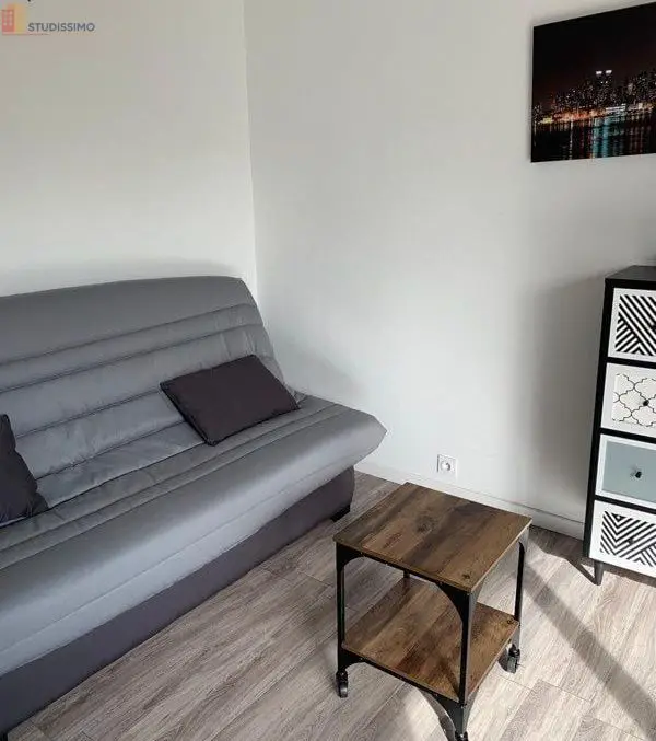 Studio 29m² Périgueux - Meublé, lumineux - Photo 4