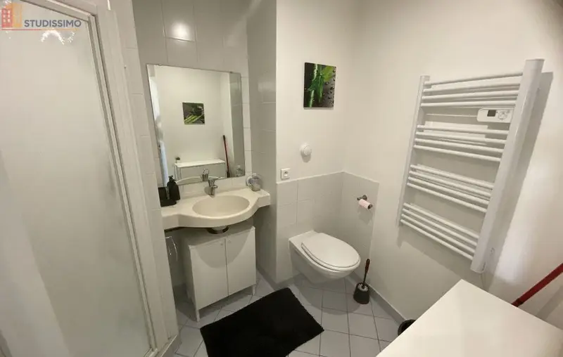 Studio meublé 22m² Montbéliard - Meublé, DPE C - Photo 1
