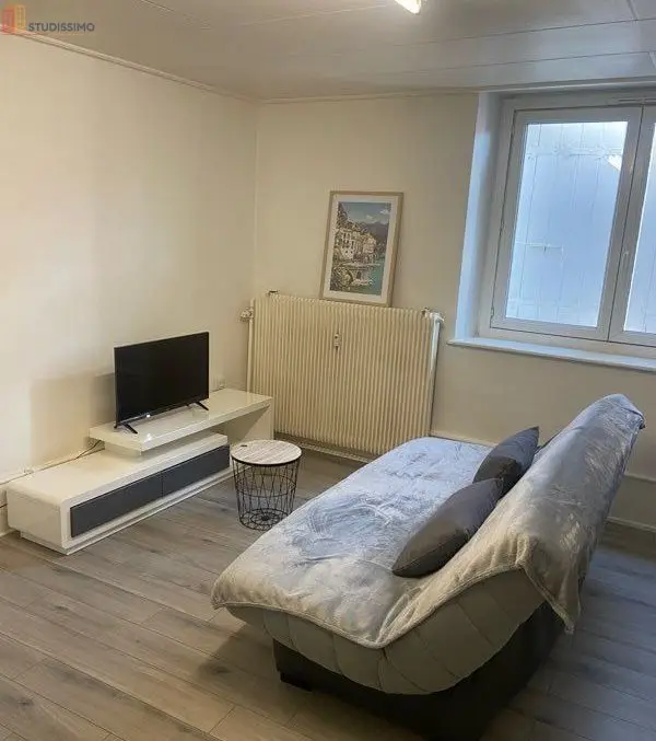 Studio 28m² Vaux-et-Chantegrue - Meublé, proche frontière - Photo 3