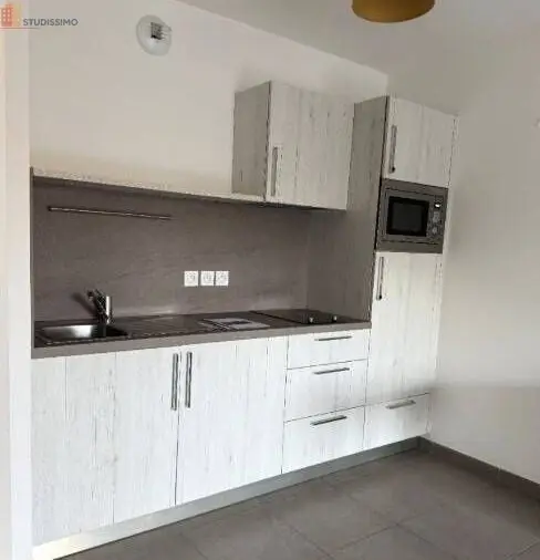 Studio meublé 46m² Romans-sur-Isère - Lumineux, calme - Photo 1