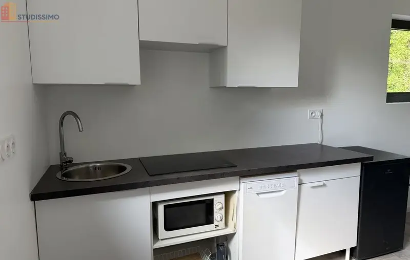 Studio 25m² Plomeur 29120 - Meublé, DPE C - Photo 11
