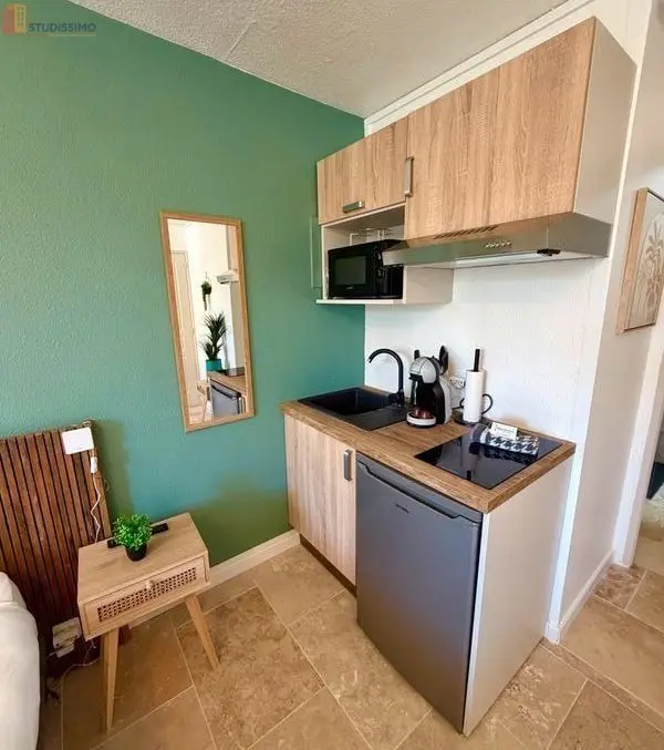Studio 25m² Saint-Laurent-d'Aigouze - Meublé, parking - Photo 5
