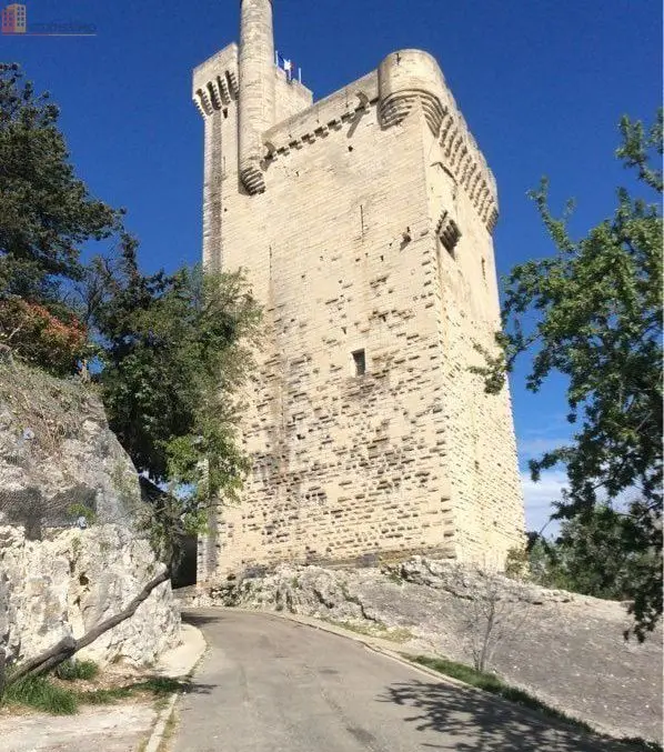 Studio 30m² Villeneuve-lès-Avignon - Séjour-cuisine, 1 chambre - Photo 2