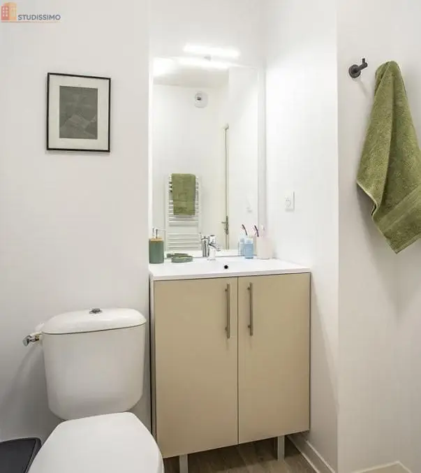Studio 16m² Toulouse 31400 - Meublé, DPE C - Photo 5