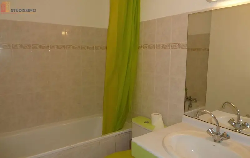 Studio 32m² Ramonville-Saint-Agne - Meublé, DPE D - Photo 4