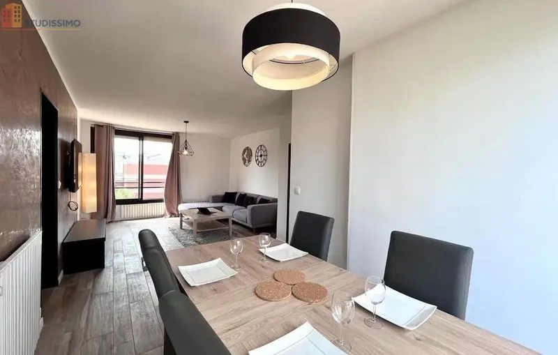 Studio 20m² Toulouse 31100 - Meublé, lumineux - Photo 6