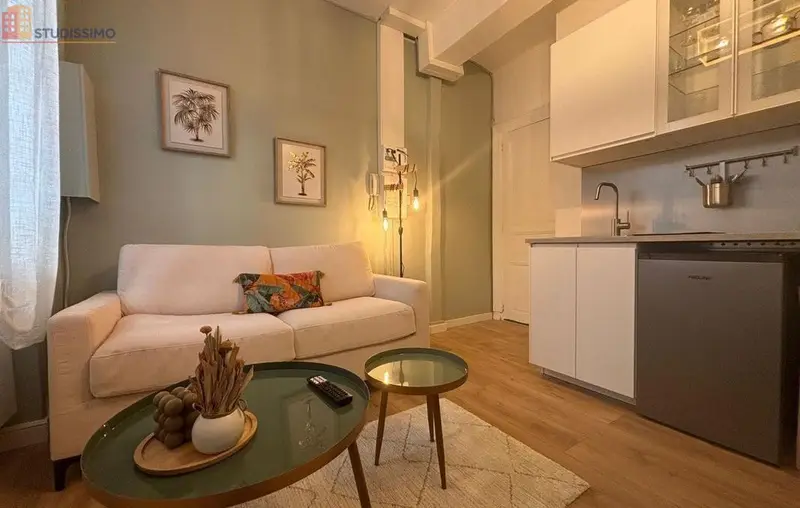 Studio meublé 18m² Toulouse 31000 - Meublé, DPE C - Photo 28