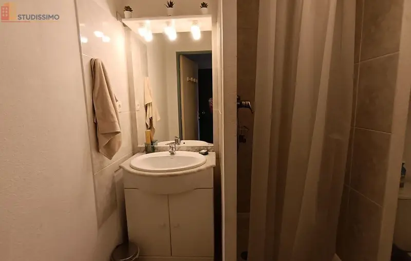 Studio meublé 20m² Toulouse 31400 - Meublé, DPE C - Photo 8