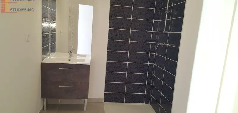 Studio 27m² Toulouse 31500 - Lumineux, dernier étage - Photo 1