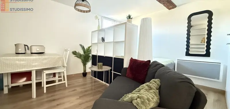Studio 19m² Toulouse 31000 - Meublé, lumineux - Photo 28