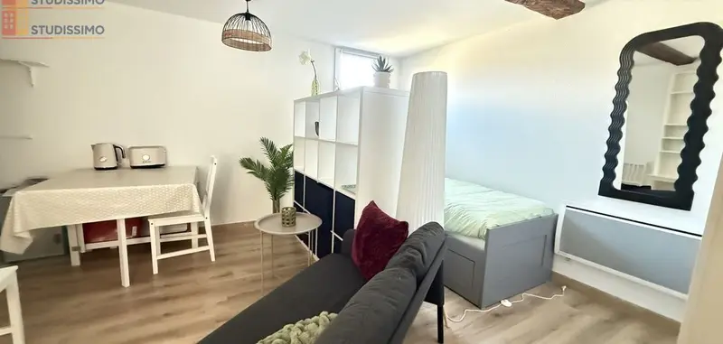 Studio 19m² Toulouse 31000 - Meublé, lumineux - Photo 19