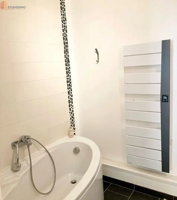 Studio meublé 27m² Toulouse centre - Hyper centre, meublé - Photo 25