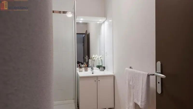 Studio meublé 21m² Toulouse 31400 - Meublé, 1 pièce - Photo 3