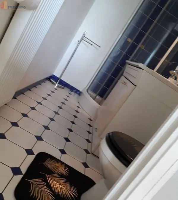 Studio meublé 27m² Toulouse 31400 - Meublé, Avenue Lespinet - Photo 2