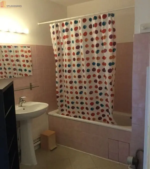 Studio meublé 26m² Toulouse 31200 - Meublé, DPE C - Photo 2