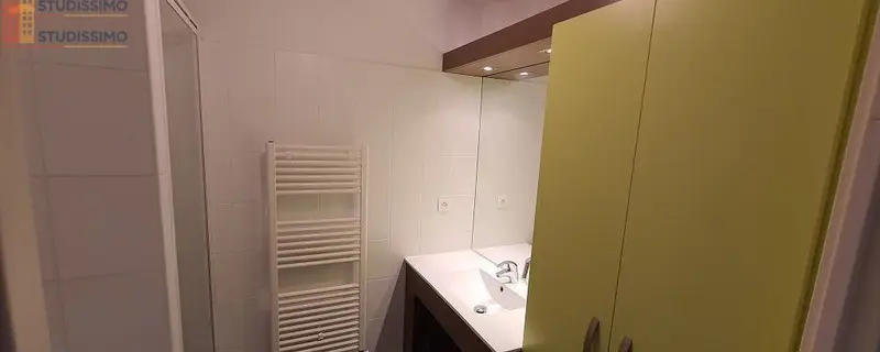 Studio meublé 18m² Toulouse 31400 - Meublé, étage élevé - Photo 1
