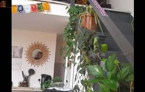Studio meublé 20m² Toulouse 31400 - Meublé, sous-location - Photo 1