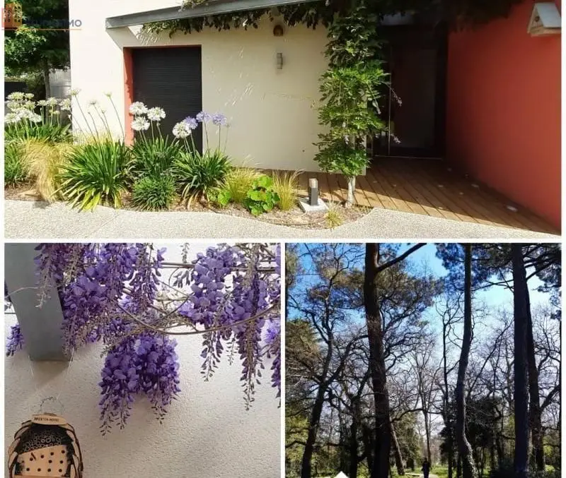 Studio meublé 21m² Pessac - Meublé, DPE B - Photo 4