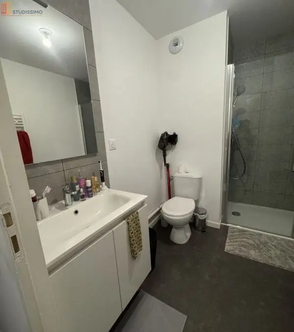 Studio meublé 65m² Rennes centre - Lumineux, spacieux - Photo 2